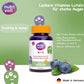 Nutrivoll kids Vitaminbärchen - Lutein für Sehkraft (60 Stk.) Kinder Lutein